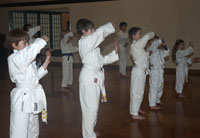 Karate kids class